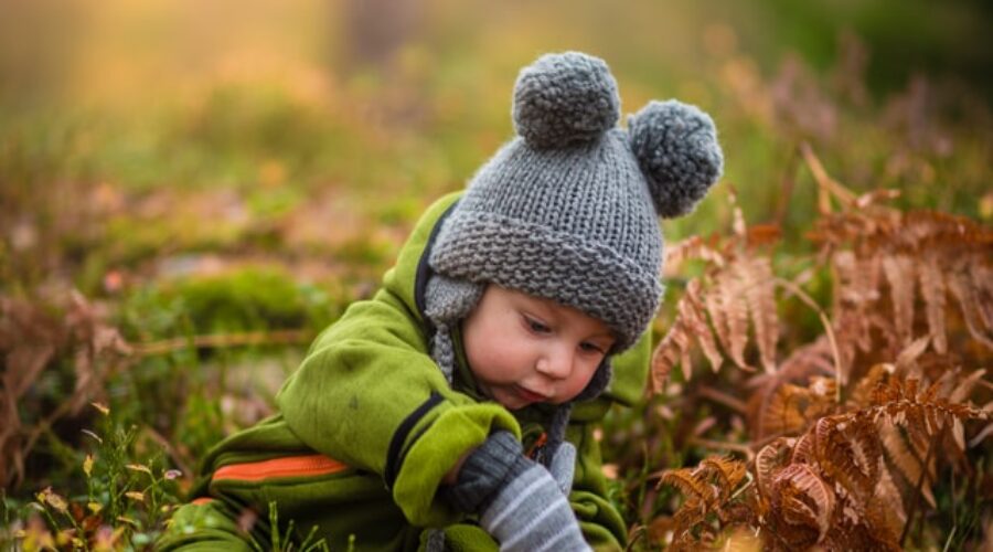 Czym zająć dziecko w lesie lub w ogrodzie?